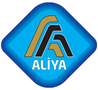 Aliya Giyim